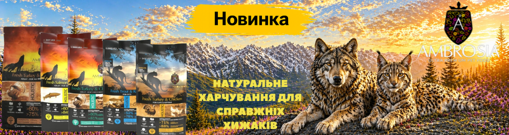 vovk-i-rys